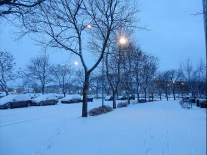 Snöat_under_natten_6_1_2016.jpg