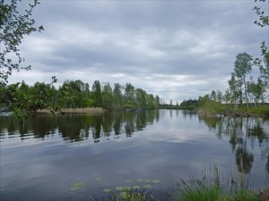 Sjön_Båven_i_Sörmland_19_5_2016.jpg