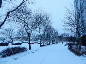 Snöat_på_natten_det_här_är_tidig_morgon_26_2_2017.jpg