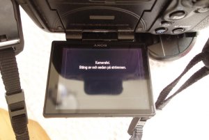 Sony a99 DSC03060.jpg