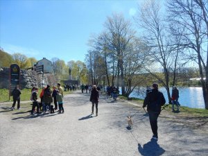 Agrias_hundpromenad_på_Djurgården_i_Stockholm_13_5_2017.jpg