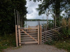 Hundbadet_i_Täby_3_9_2017.jpg