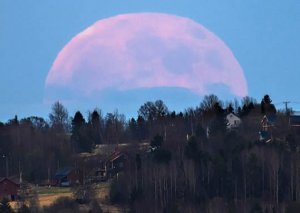 A_Moon-illusion-rising-strawberryMoon-Goran-StrandST-509x360.jpg