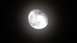 Månen.jpg
