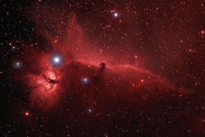 Horsehead32_1600px_RGB_2.png