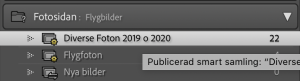 Skärmdump Lightroom Publicering.png