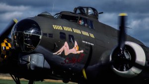 Noseart.jpg