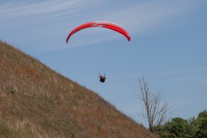 Paraglider.jpg