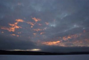 fläckar 2 .    400.jpg