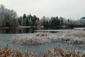 091203 Lillsjön4-2.jpg