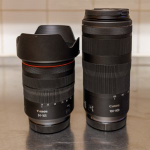 RF24-105 vs 100-400.jpg