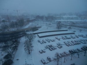 Snöar_på_Juldagen_25_12_2020.jpg