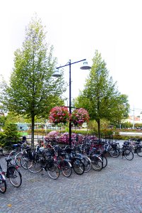 140908_torget1-1.jpg