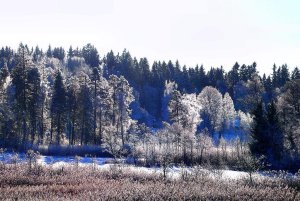 130124_rimfrostens_landskap1-2.jpg