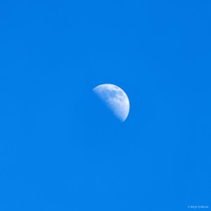 210420_blue_moon1-1.jpg