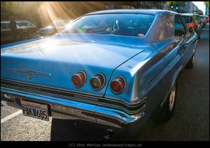 8061-Impala-bla-bak.jpg