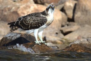 2J6A1286_Sharpen.jpg 2J6A1286_Sharpen.jpg