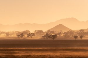 Namibia-2019-Greenfire-01.jpg