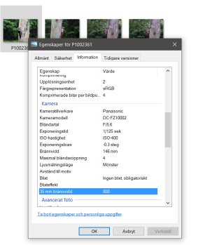 P1002361 exif data.jpg