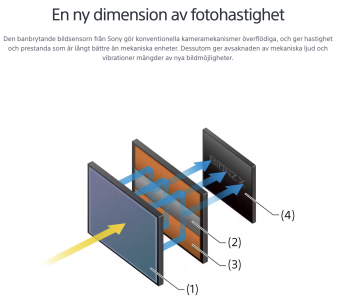 Skärmavbild 2025-01-19 kl. 01.01.43.png