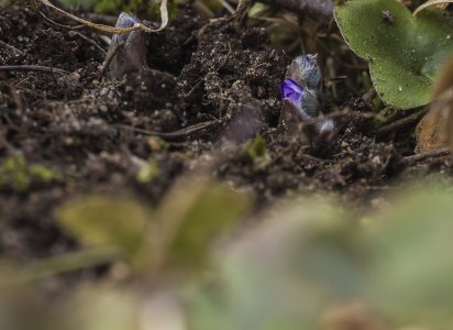 2015-03-17.jpg 2015-03-17.jpg