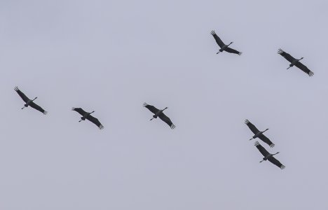 2015-03-18.jpg 2015-03-18.jpg