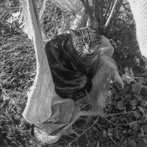 150324-FS10.jpg 150324-FS10.jpg