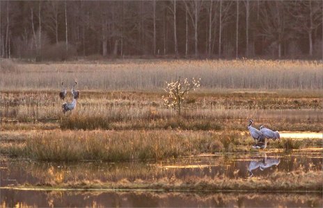 150324.01.JPG 150324.01.JPG