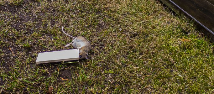 2015-03-26.jpg 2015-03-26.jpg