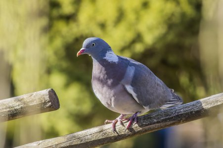 2015-03-28.jpg 2015-03-28.jpg