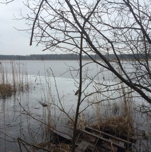 150329-FS10.jpg 150329-FS10.jpg