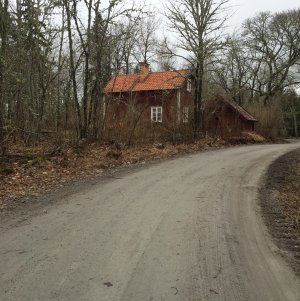 150330-FS10.jpg 150330-FS10.jpg