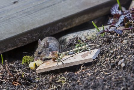 2015-04-01.jpg 2015-04-01.jpg