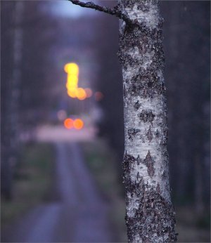 150401.02.JPG 150401.02.JPG