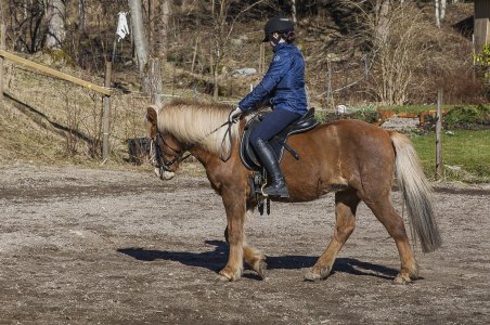 2015-04-03.jpg 2015-04-03.jpg