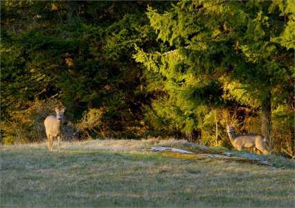 150403.01.JPG 150403.01.JPG