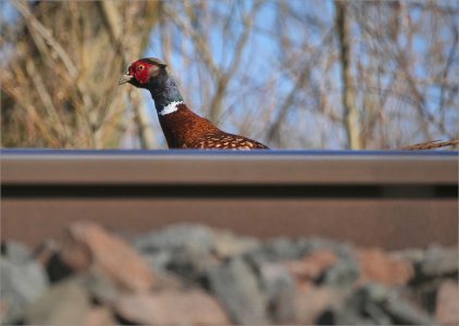 Fs Järnväg 250404.JPG