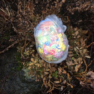 150405-FS10.jpg 150405-FS10.jpg