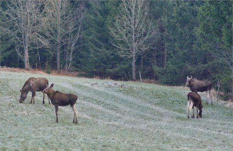 150406.01.JPG 150406.01.JPG