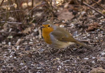 2015-04-08.jpg 2015-04-08.jpg