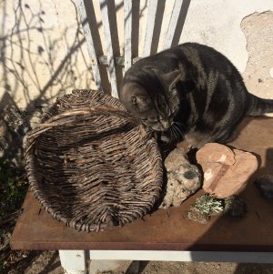 150409-FS10.jpg 150409-FS10.jpg