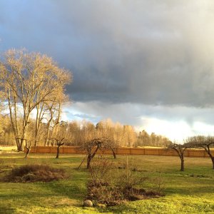 150412-FS10.jpg 150412-FS10.jpg