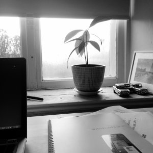 150413-FS10.jpg 150413-FS10.jpg