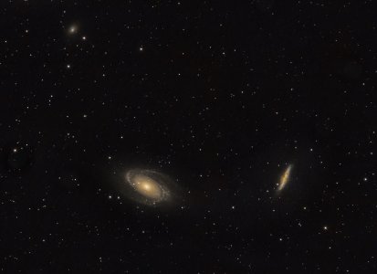 Cigar Bodes  300mm april.jpg