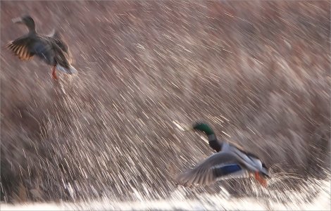 Fs Suddmes 250415.JPG Fs Suddmes 250415.JPG