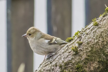 2015-04-16.jpg 2015-04-16.jpg