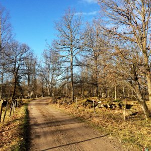 150417-FS10.jpg 150417-FS10.jpg