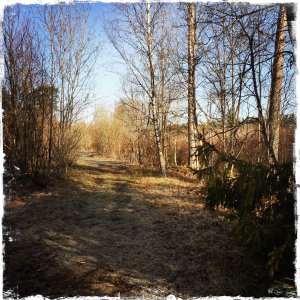 150418-FS10.jpg 150418-FS10.jpg