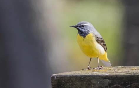 2015-04-19.jpg 2015-04-19.jpg