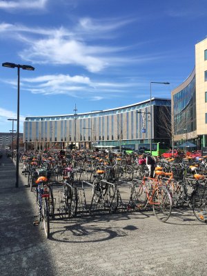 150420-FS10.jpg 150420-FS10.jpg